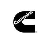 Owl Image